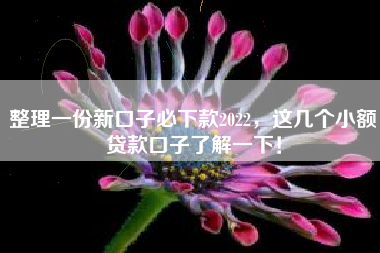 整理一份新口子必下款2022，这几个小额贷款口子了解一下！