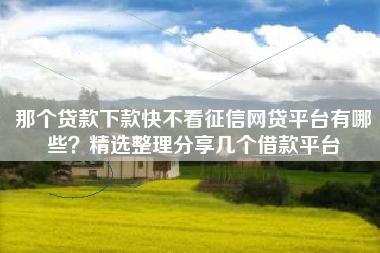 那个贷款下款快不看征信网贷平台有哪些？精选整理分享几个借款平台