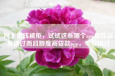 网上借钱被拒，试试这些哪个app借钱容易通过而且额度高贷款app，不容错过
