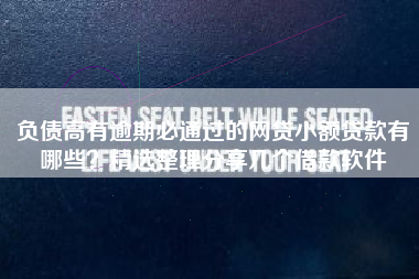 负债高有逾期必通过的网贷小额贷款有哪些?精选整理分享几个借款软件 负债高有逾期必通过的网贷小额贷款有哪些?精选整理分享几个借款软件