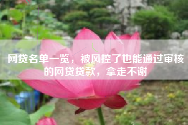 网贷名单一览，被风控了也能通过审核的网贷贷款，拿走不谢