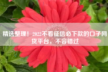 精选整理！2022不看征信必下款的口子网贷平台，不容错过