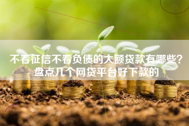 不看征信不看负债的大额贷款有哪些？盘点几个网贷平台好下款的