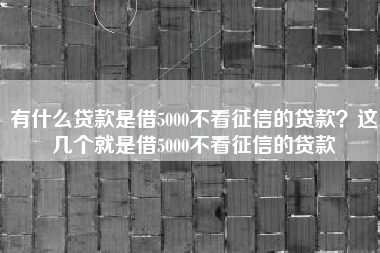 有什么贷款是借5000不看征信的贷款?这几个就是借5000不看征信的贷款 有什么贷款是借5000不看征信的贷款?这几个就是借5000不看征信的贷款
