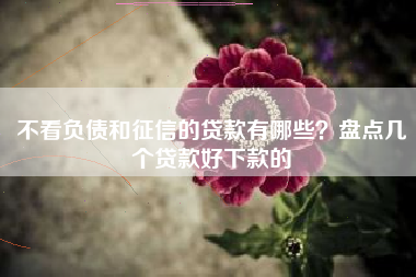 不看负债和征信的贷款有哪些？盘点几个贷款好下款的