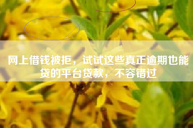 网上借钱被拒，试试这些真正逾期也能贷的平台贷款，不容错过