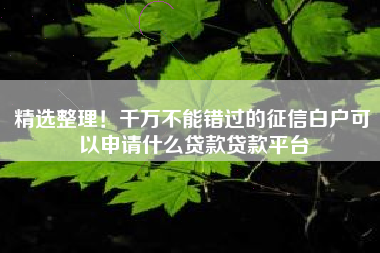 精选整理！千万不能错过的征信白户可以申请什么贷款贷款平台
