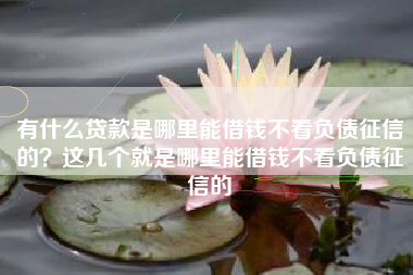 有什么贷款是哪里能借钱不看负债征信的？这几个就是哪里能借钱不看负债征信的