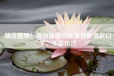 精选整理！身份证借钱快速到账借款口子，不容错过