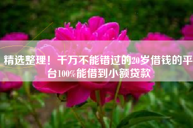 精选整理！千万不能错过的20岁借钱的平台100%能借到小额贷款