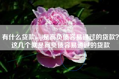 有什么贷款app是高负债容易通过的贷款？这几个就是高负债容易通过的贷款