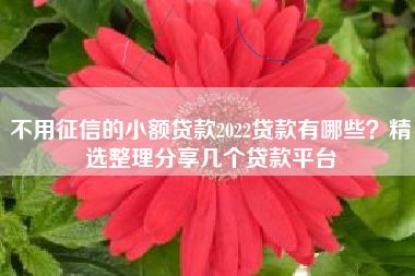 不用征信的小额贷款2022贷款有哪些？精选整理分享几个贷款平台
