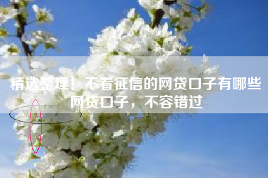 精选整理！不看征信的网贷口子有哪些网贷口子，不容错过