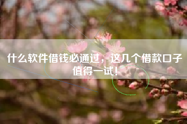 什么软件借钱必通过，这几个借款口子值得一试！