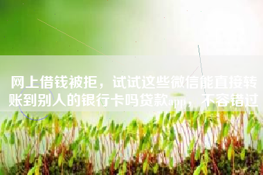 网上借钱被拒,试试这些微信能直接转账到别人的银行卡吗贷款app,不容错过 网上借钱被拒,试试这些微信能直接转账到别人的银行卡吗贷款app,不容错过