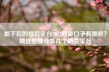 能下款的借款平台2022网贷口子有哪些？精选整理分享几个网贷平台