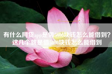 有什么网贷app是借5000块钱怎么能借到?这几个就是借5000块钱怎么能借到 有什么网贷app是借5000块钱怎么能借到?这几个就是借5000块钱怎么能借到