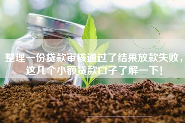 整理一份贷款审核通过了结果放款失败，这几个小额贷款口子了解一下！
