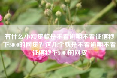 有什么小额贷款是不看逾期不看征信秒下5000的网贷?这几个就是不看逾期不看征信秒下5000的网贷 有什么小额贷款是不看逾期不看征信秒下5000的网贷?这几个就是不看逾期不看征信秒下5000的网贷