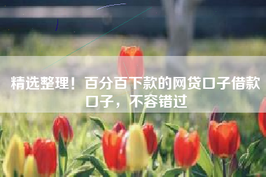 精选整理！百分百下款的网贷口子借款口子，不容错过