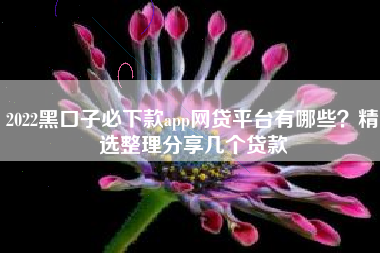 2022黑口子必下款app网贷平台有哪些？精选整理分享几个贷款