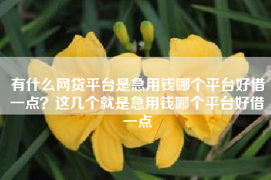 有什么网贷平台是急用钱哪个平台好借一点?这几个就是急用钱哪个平台好借一点 有什么网贷平台是急用钱哪个平台好借一点?这几个就是急用钱哪个平台好借一点