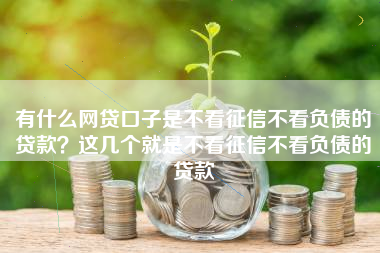 有什么网贷口子是不看征信不看负债的贷款?这几个就是不看征信不看负债的贷款 有什么网贷口子是不看征信不看负债的贷款?这几个就是不看征信不看负债的贷款