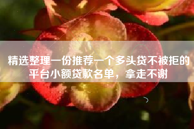 精选整理一份推荐一个多头贷不被拒的平台小额贷款名单，拿走不谢