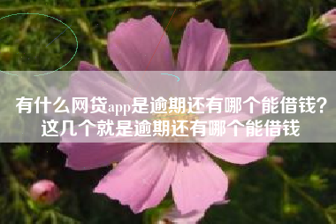 有什么网贷app是逾期还有哪个能借钱？这几个就是逾期还有哪个能借钱