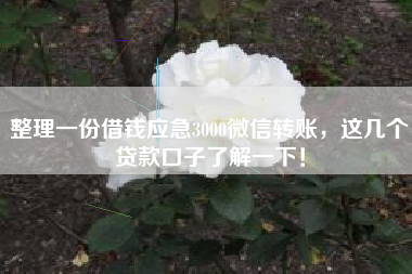 整理一份借钱应急3000微信转账，这几个贷款口子了解一下！