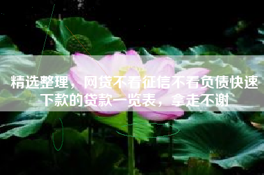精选整理，网贷不看征信不看负债快速下款的贷款一览表，拿走不谢
