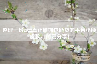 整理一份2022真正逾期也能贷的平台小额贷款，简云分享！