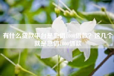 有什么贷款平台是急借1000借款？这几个就是急借1000借款