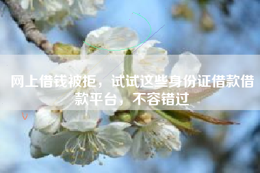 网上借钱被拒，试试这些身份证借款借款平台，不容错过