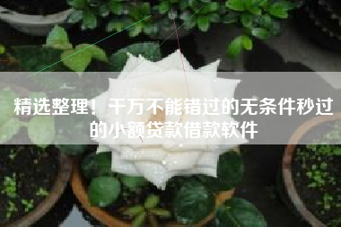 精选整理！千万不能错过的无条件秒过的小额贷款借款软件