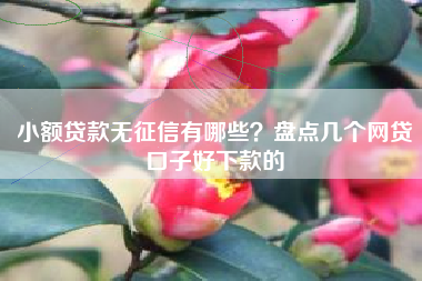 小额贷款无征信有哪些？盘点几个网贷口子好下款的