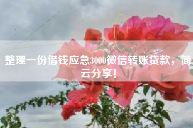 整理一份借钱应急3000微信转账贷款，简云分享！