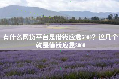 有什么网贷平台是借钱应急5000？这几个就是借钱应急5000