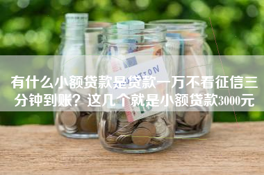 有什么小额贷款是贷款一万不看征信三分钟到账？这几个就是小额贷款3000元