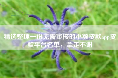 精选整理一份无需审核的小额贷款app贷款平台名单，拿走不谢