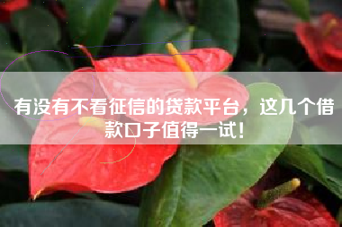 有没有不看征信的贷款平台，这几个借款口子值得一试！