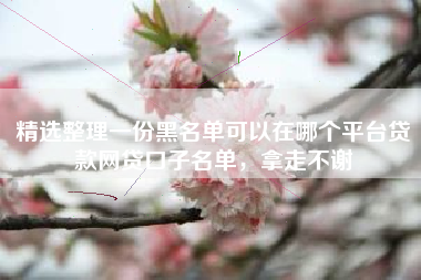 精选整理一份黑名单可以在哪个平台贷款网贷口子名单，拿走不谢