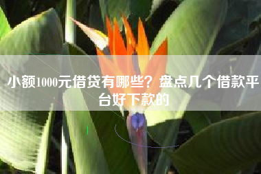 小额1000元借贷有哪些？盘点几个借款平台好下款的