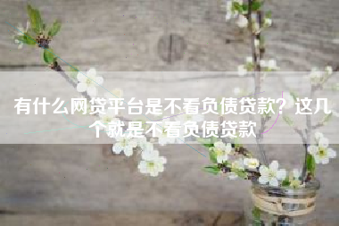 有什么网贷平台是不看负债贷款？这几个就是不看负债贷款