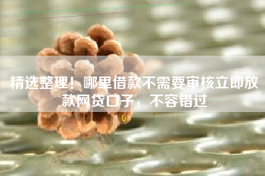 精选整理！哪里借款不需要审核立即放款网贷口子，不容错过