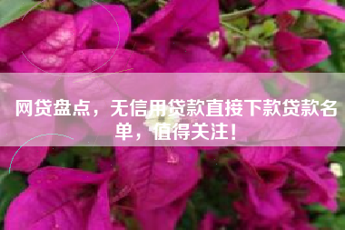 网贷盘点，无信用贷款直接下款贷款名单，值得关注！