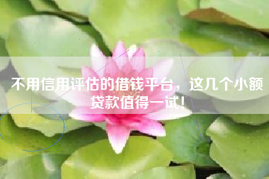 不用信用评估的借钱平台，这几个小额贷款值得一试！