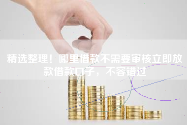 精选整理！哪里借款不需要审核立即放款借款口子，不容错过