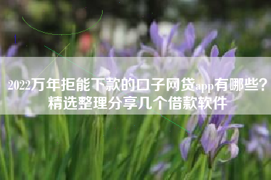 2022万年拒能下款的口子网贷app有哪些？精选整理分享几个借款软件