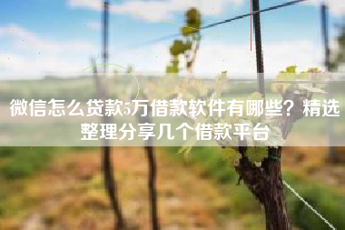 微信怎么贷款5万借款软件有哪些？精选整理分享几个借款平台